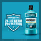 Listerine Coolmint Antiseptic Mouthwash 250mL