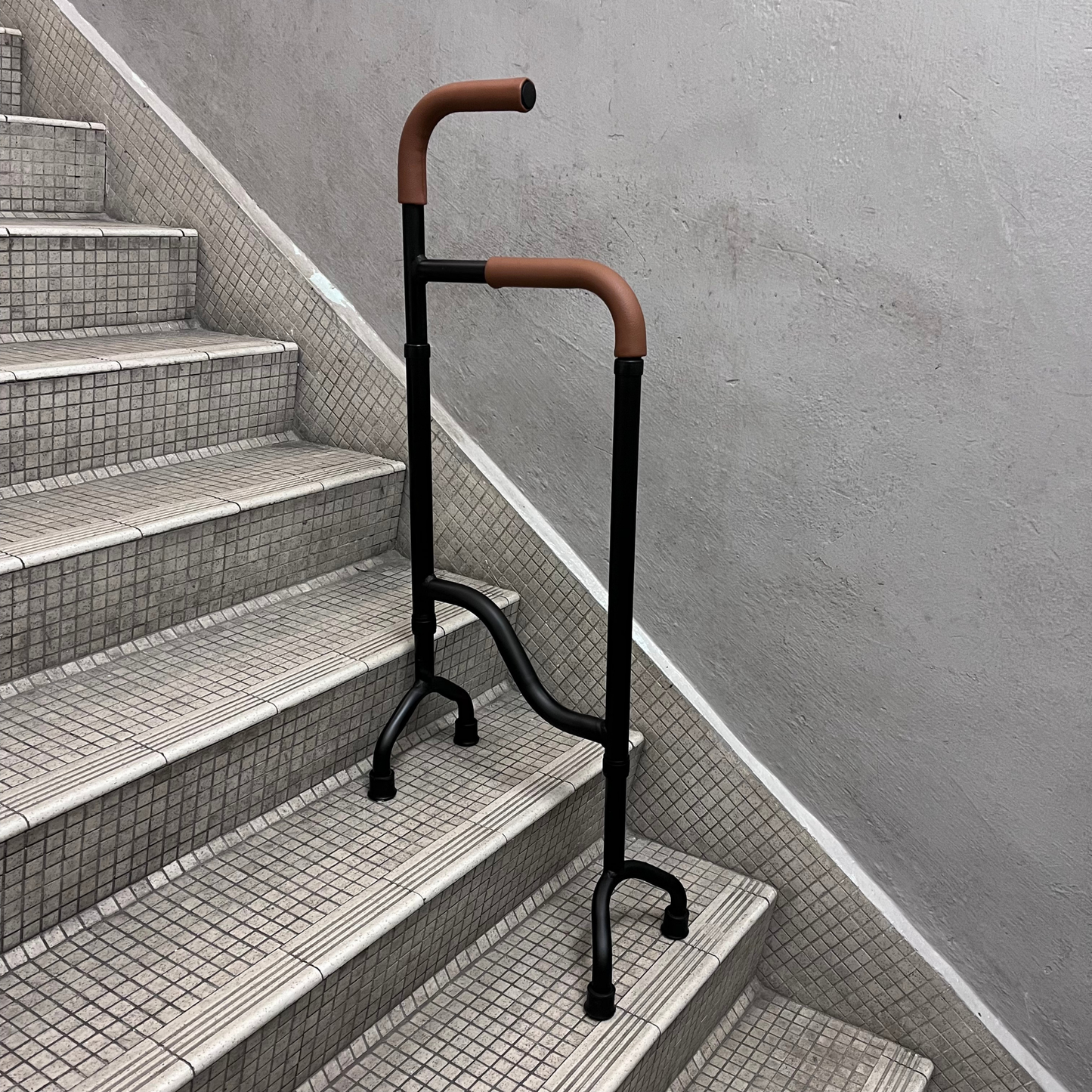 Stair Assist Cane